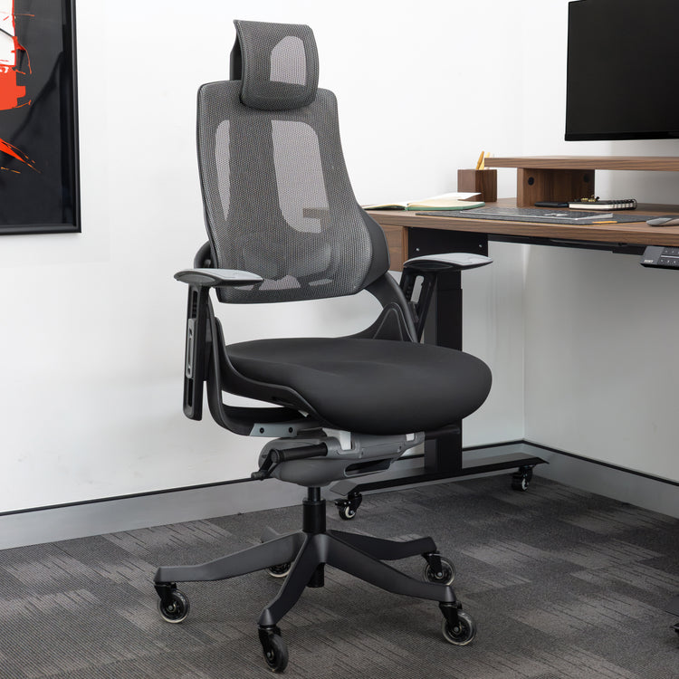 Chaise ergonomique Pro+ Desky