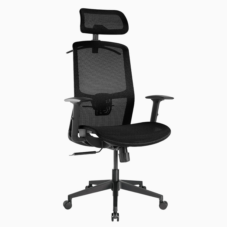 Adjustable high back mesh chair