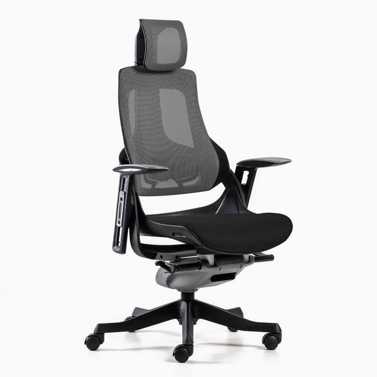Ergonomic chair black