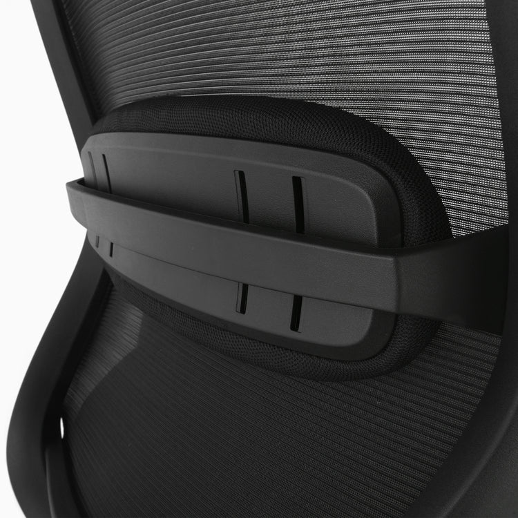 Coilflex chair with lumbar support - Desky