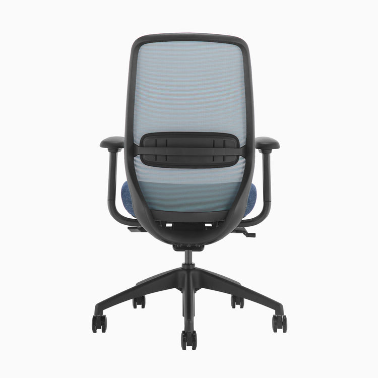 Blue ergonomic coilflex chair