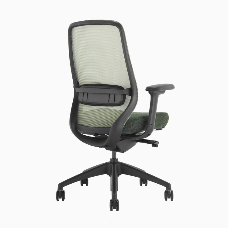 Coilflex system ergo chair in green - Desky