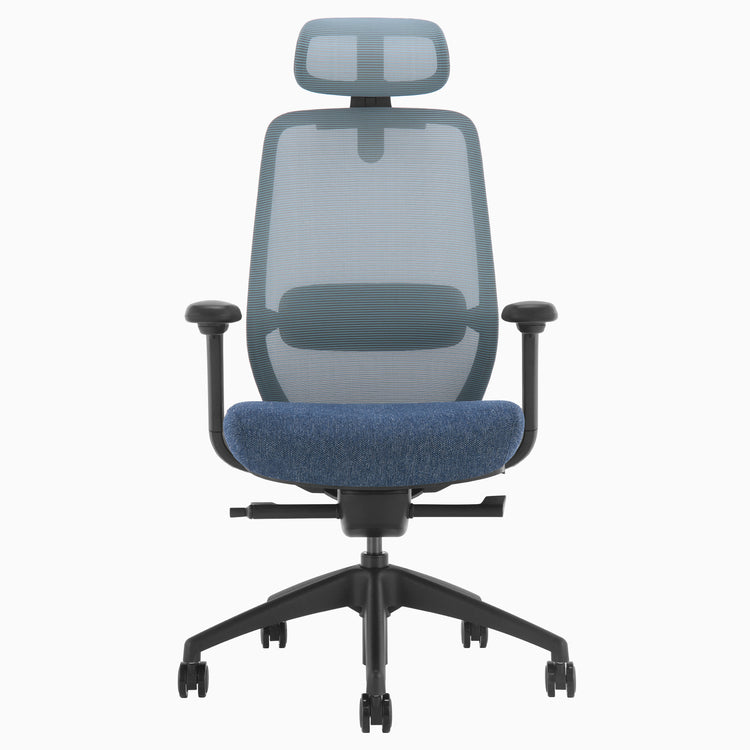 Blue Coilflex ergonomic chair - Desky