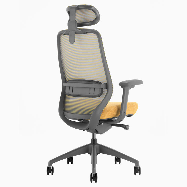 Chaise de bureau ergonomique Desky Coilflex