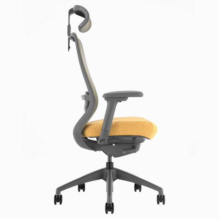 Chaise de bureau ergonomique Desky Coilflex