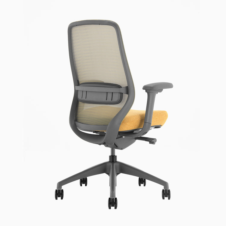 Chaise de bureau ergonomique Desky Coilflex