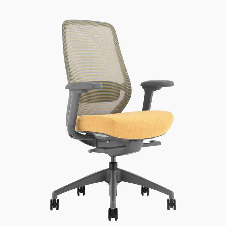 Chaise de bureau ergonomique Desky Coilflex