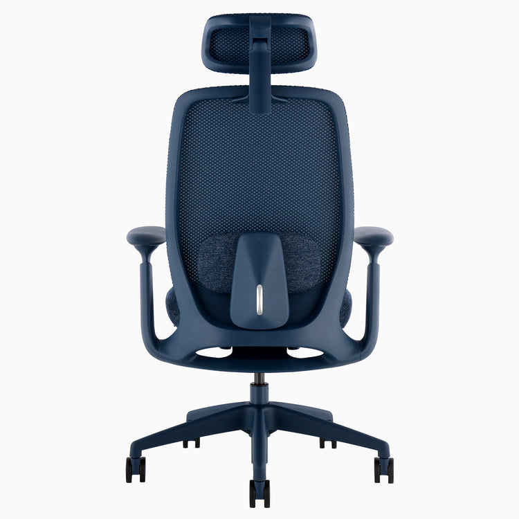 Desky Sereno Ergonomic Office Task Chair