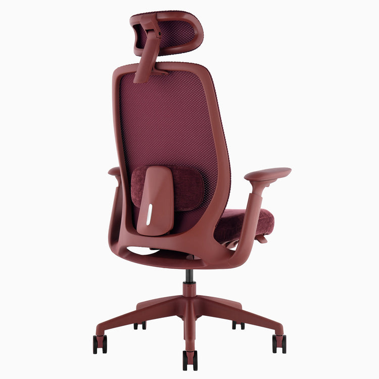 Desky Sereno Ergonomic Office Task Chair