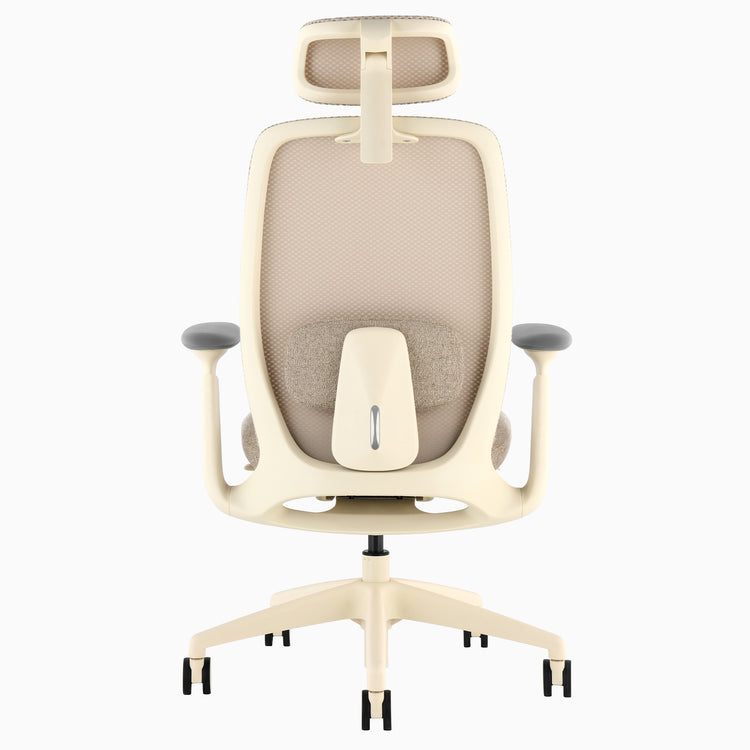 Desky Sereno Ergonomic Office Task Chair