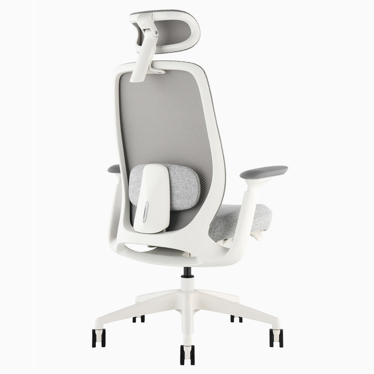 Desky Sereno Ergonomic Office Task Chair