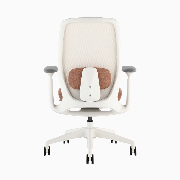 Desky Sereno Ergonomic Office Task Chair