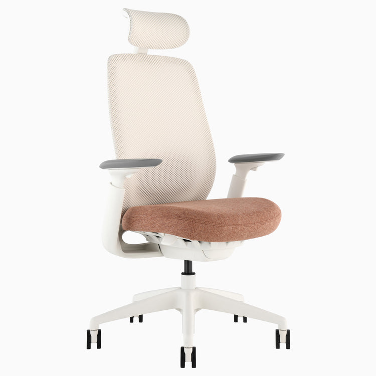 Desky Sereno Ergonomic Office Task Chair