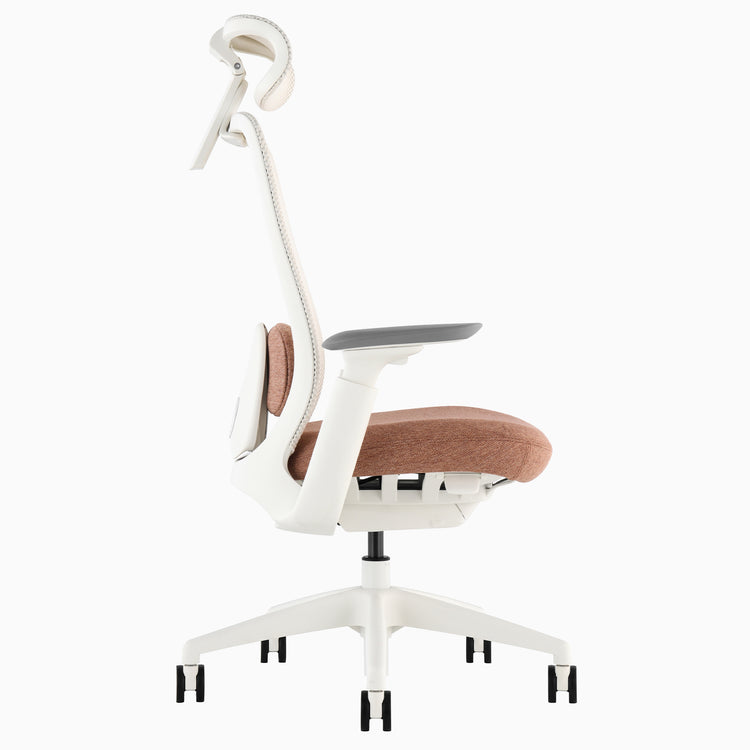 Desky Sereno Ergonomic Office Task Chair