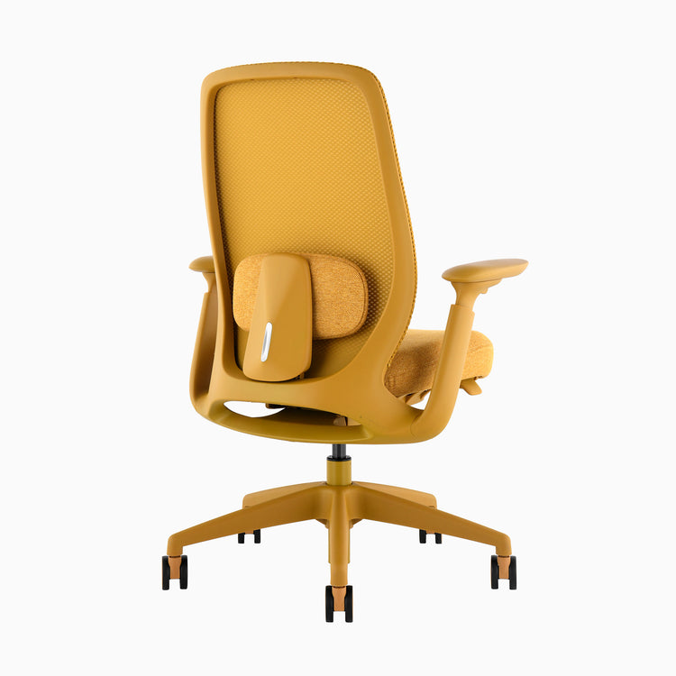 Desky Sereno Ergonomic Office Task Chair