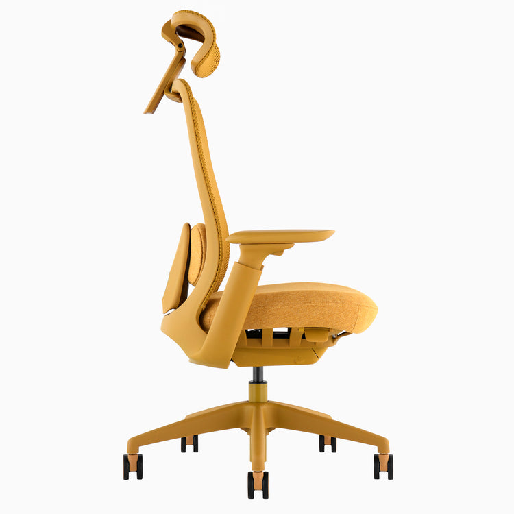 Desky Sereno Ergonomic Office Task Chair