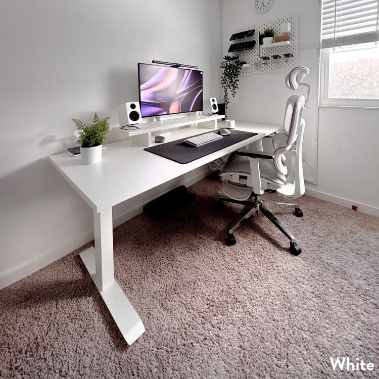 Desky Dual Laminate Sit Stand Desk-Desky Canada