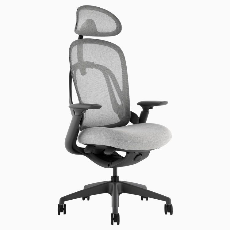 Desky Pivot Ergonomic Office Task Chair