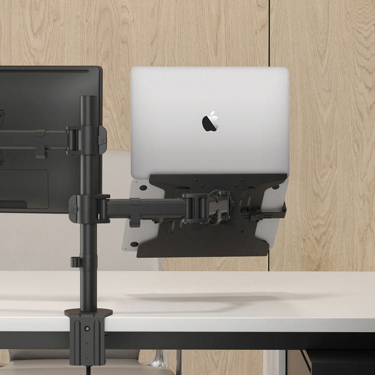 adjustable vesa laptop mount