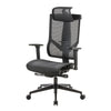 premium ergonomic mesh chair