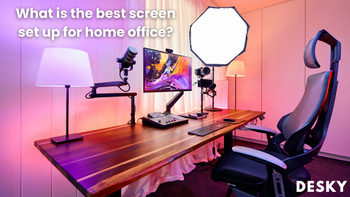 What is the best screen set up for home office?