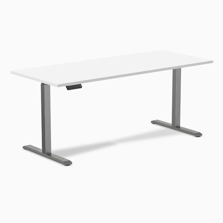 Desky Single Sit Stand Desk