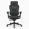 A black ergonomic office chair with a high mesh back, adjustable armrests, and a five-star wheeled base, shown against a plain white background.