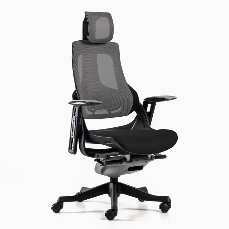 Ergonomic chair black 