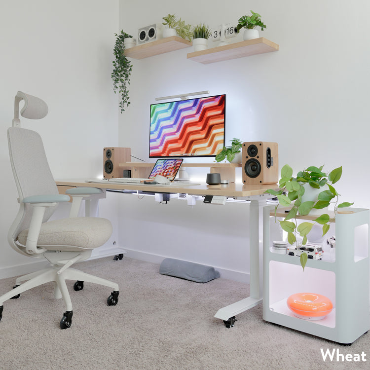 Desky Coilflex Ergonomic Office Chair