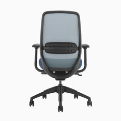 Blue ergonomic coilflex chair 