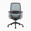 Blue ergonomic coilflex chair 