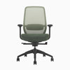 Green ergonomic coilflex chair 