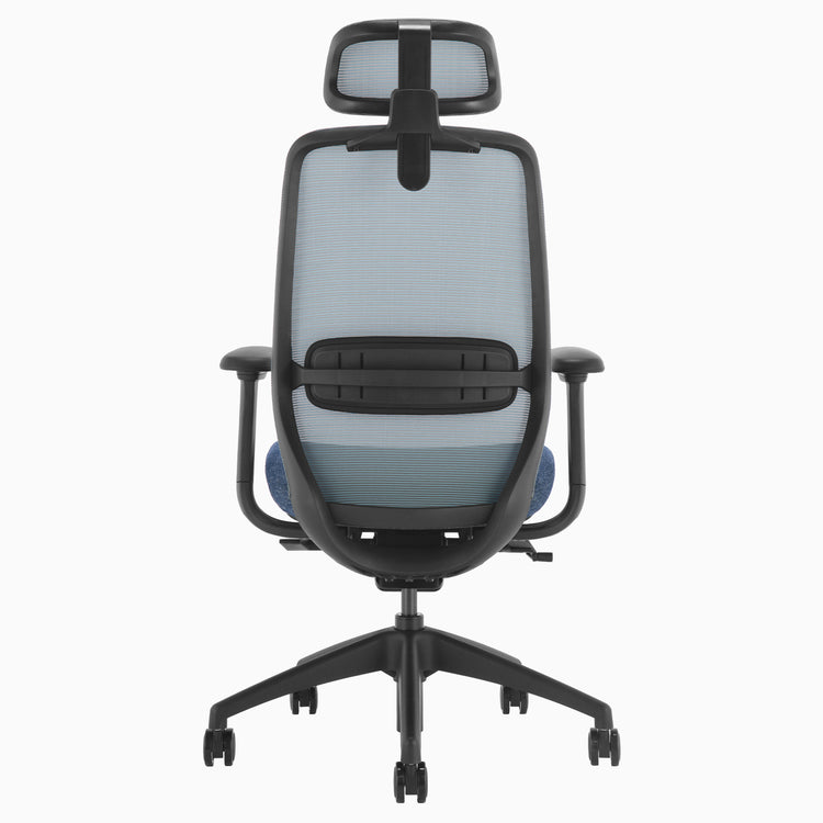 Blue coilflex spring mechanism ergo chair