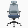 Blue Coilflex ergonomic chair - Desky