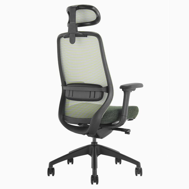 Coilflex chair with lumbar support in green - Desky