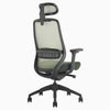 Coilflex chair with lumbar support in green - Desky