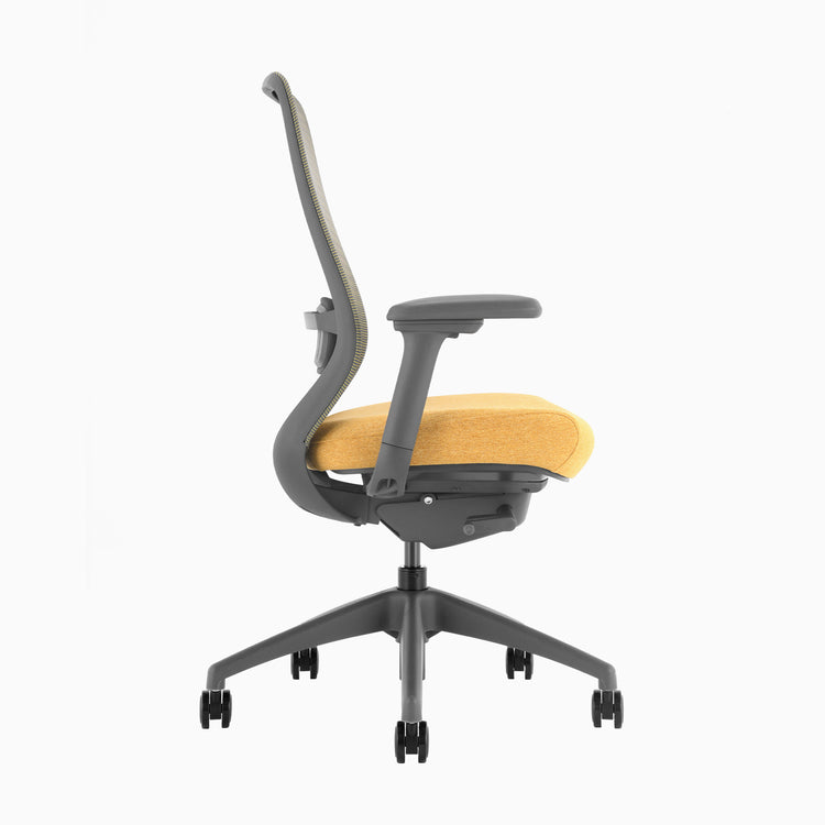 Chaise de bureau ergonomique Desky Coilflex