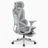A light gray ergonomic office chair with a mesh back, adjustable armrests, a headrest, and a five-wheel base, shown on a plain white background.