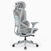 A light gray ergonomic office chair with a mesh back, adjustable armrests, and a five-star wheeled base, shown from a three-quarters angle on a white background.