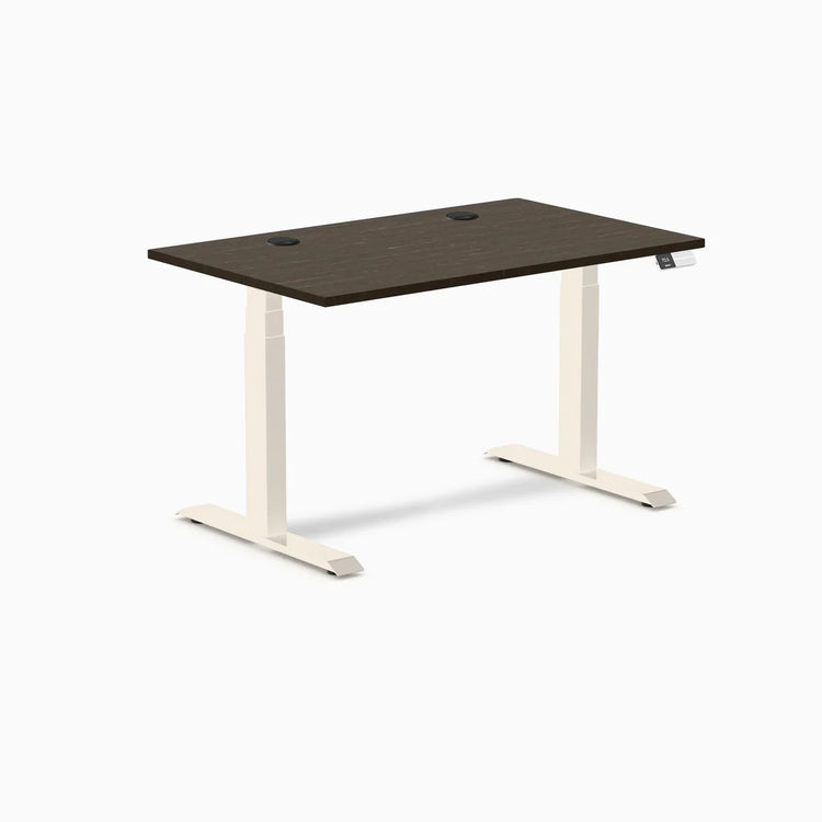 Desky Dual Bamboo Sit Stand Desk