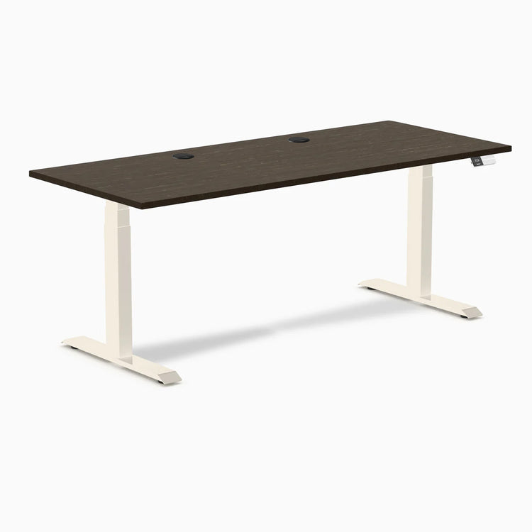 Desky Dual Bamboo Sit Stand Desk