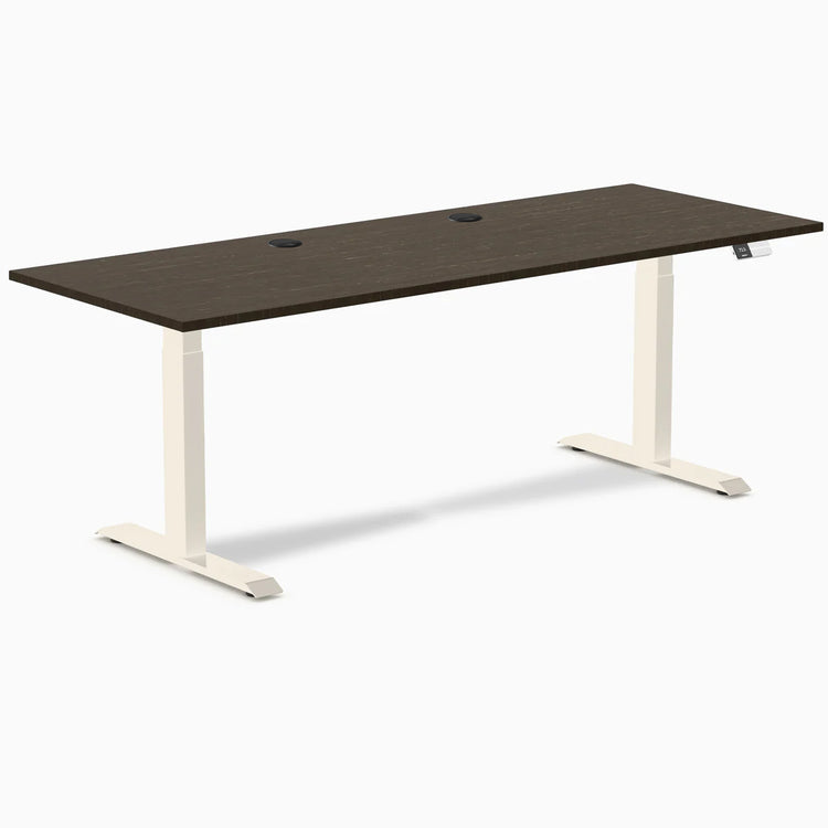 Desky Dual Bamboo Sit Stand Desk