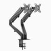 Gas spring monitor arm space grey