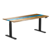 dual resin hardwood standing desk