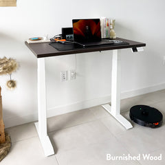 Desky Dual Mini Sit Stand Desk detail view 8
