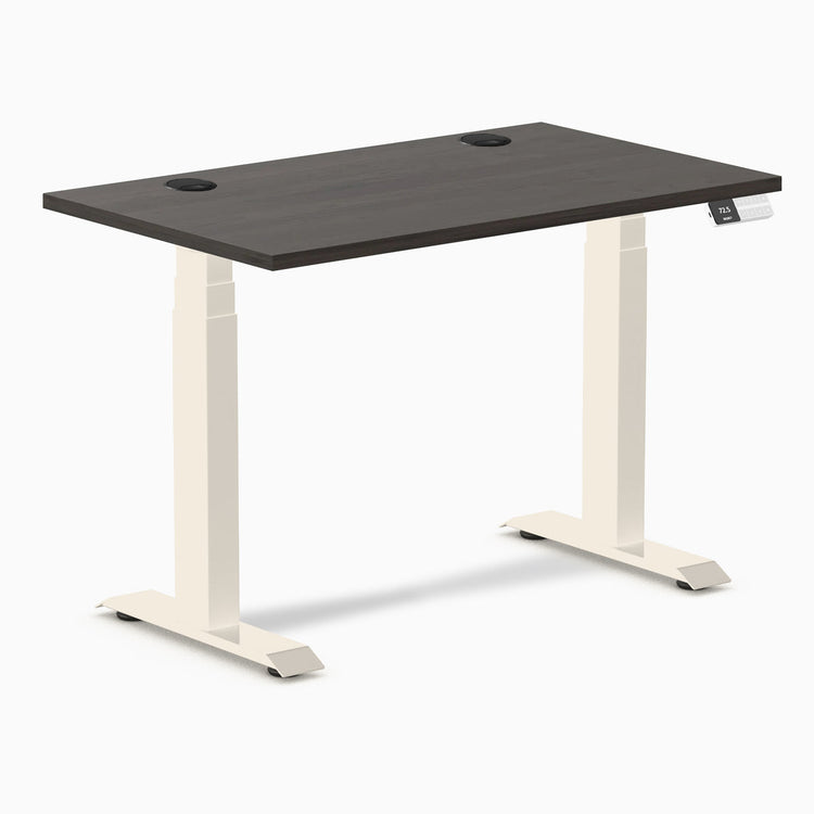 Desky Dual Mini Sit Stand Desk