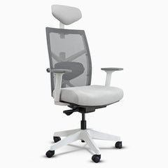 Desky Elite Ergonomic Chair in White