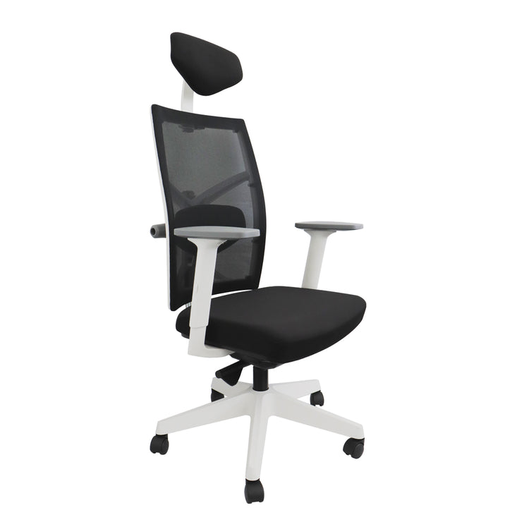 Chaise ergonomique Elite Desky