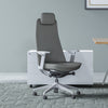 Desky Pinnacle Executive Office Chair light grey version