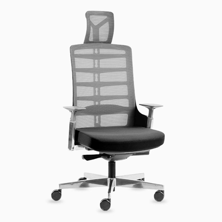 Pro ergonomic home office chair